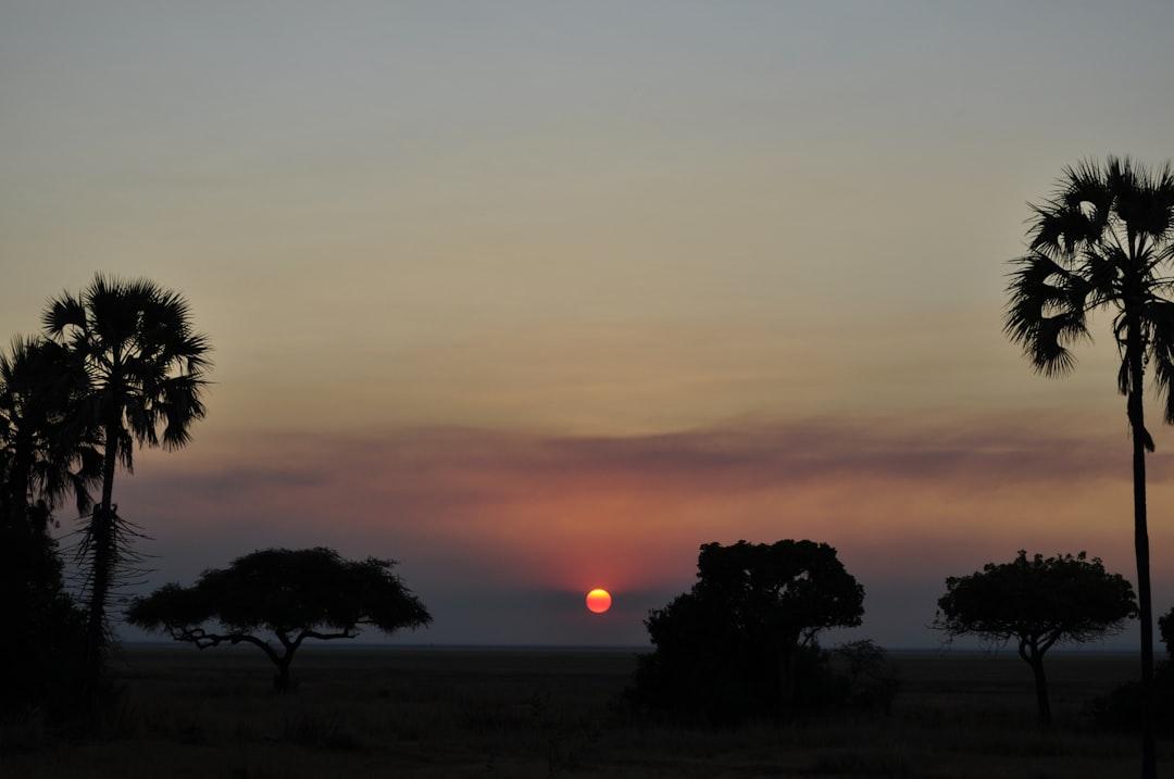 Taken in Katavi National Park in Tanzania. I hope you can feel the warmth of the sun.