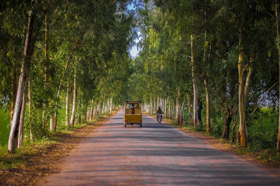 A beautiful pathway of village, Punjab Pakistan