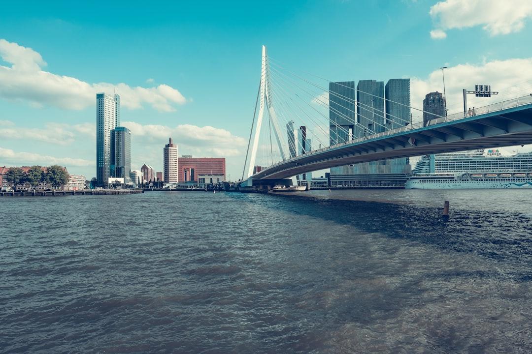 On my way to the photography museum in Rotterdam I took this fantastic picture of the Erasmus Brigde.