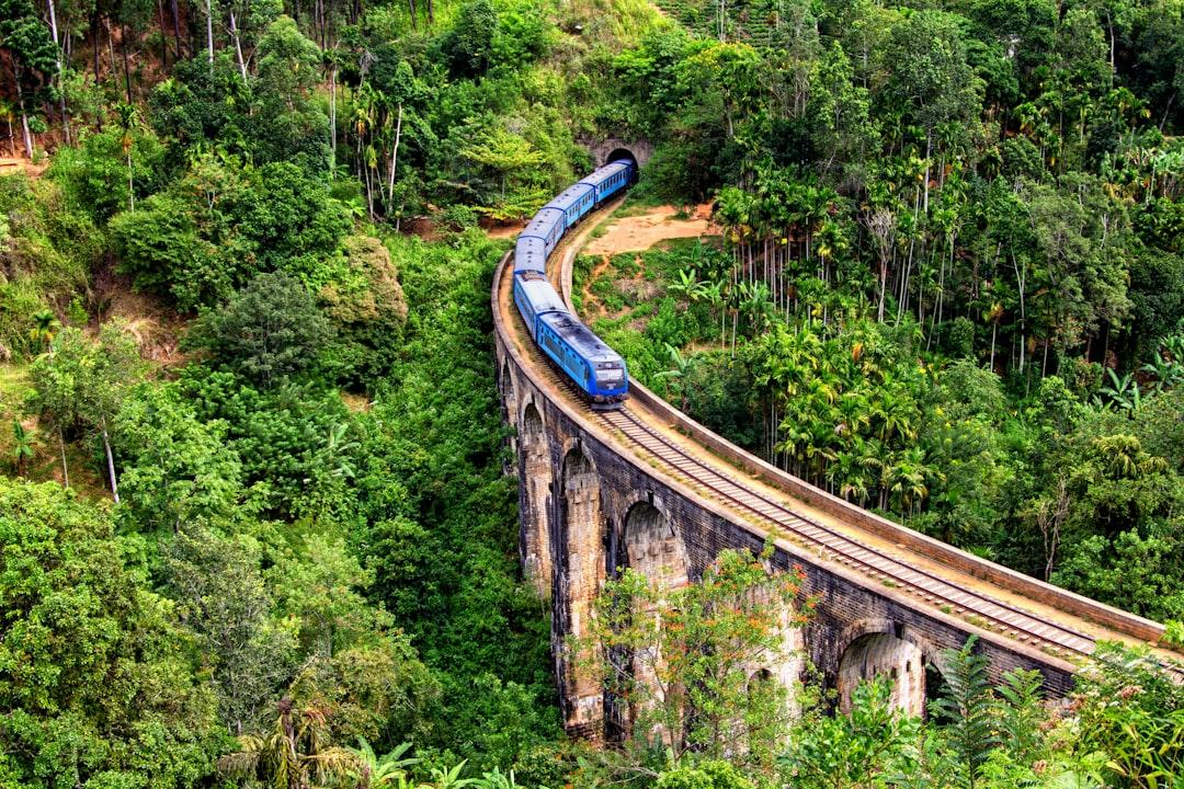 Blue train to Ella, Nine Arch Bridge, Sri Lanka