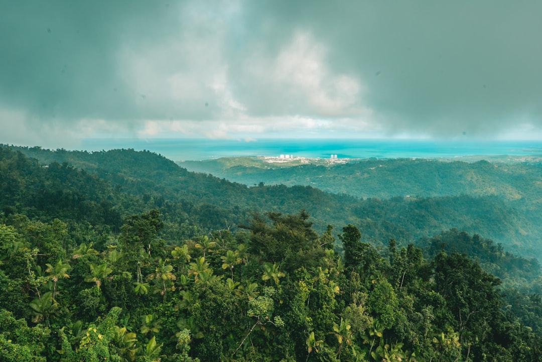 el Yunque Rainforest in Puerto Rico