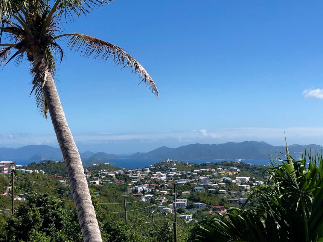 St Thomas, Virgin Islands, vacation, water, greenery, landscape, ocean, views, mountains, blue waters, blue skies, palm tree, travel, buildings