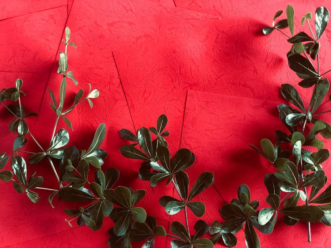Green leaves on red background
