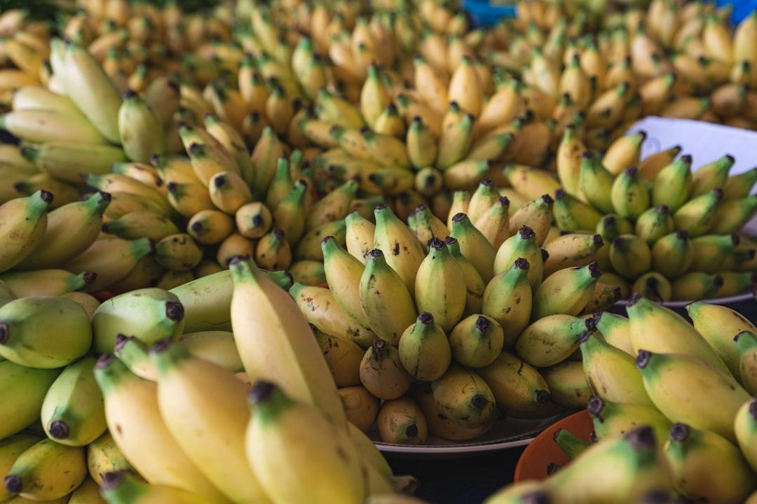 Banana, Tutong market in Brunei

👋 Small donation -> huge appreciation paypal.me/DanieleFranchi 🙏🙏🙏